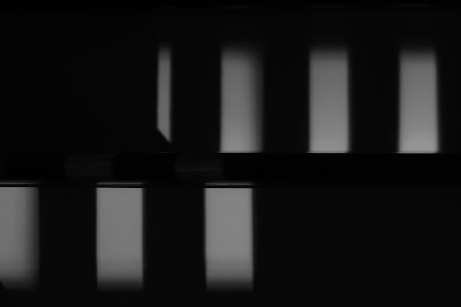 proteinvergleich wheyprotein pflanzenprotein
