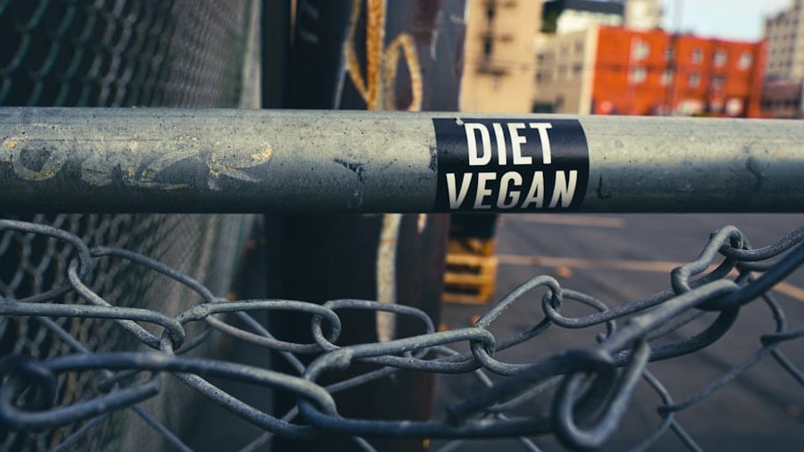 Photo veganprotein proteinpulver muskelaufbau
