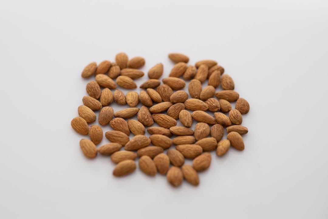Photo proteinqualitaet proteinquelle pflanzenprotein