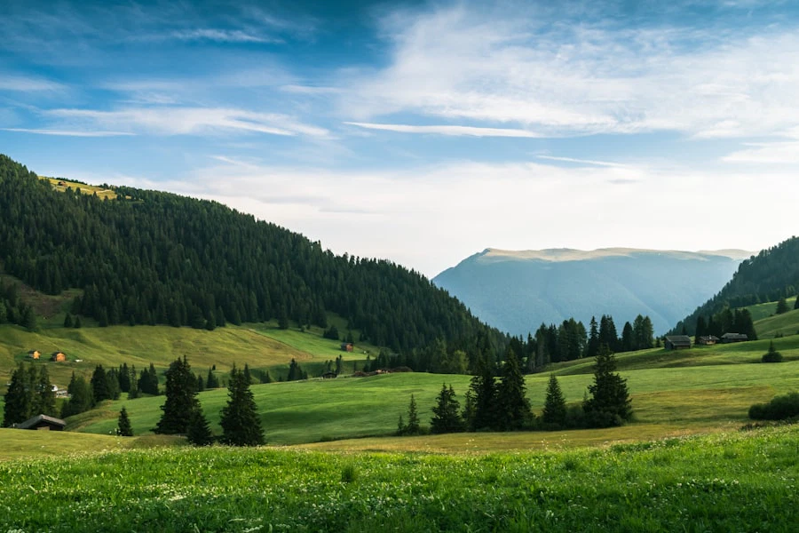 Eine malerische Landschaft mit grünen Hügeln, die mit Bäumen und kleinen Häusern übersät sind, erstreckt sich unter einem teilweise bewölkten blauen Himmel bis zu den entfernten bewaldeten Bergen.