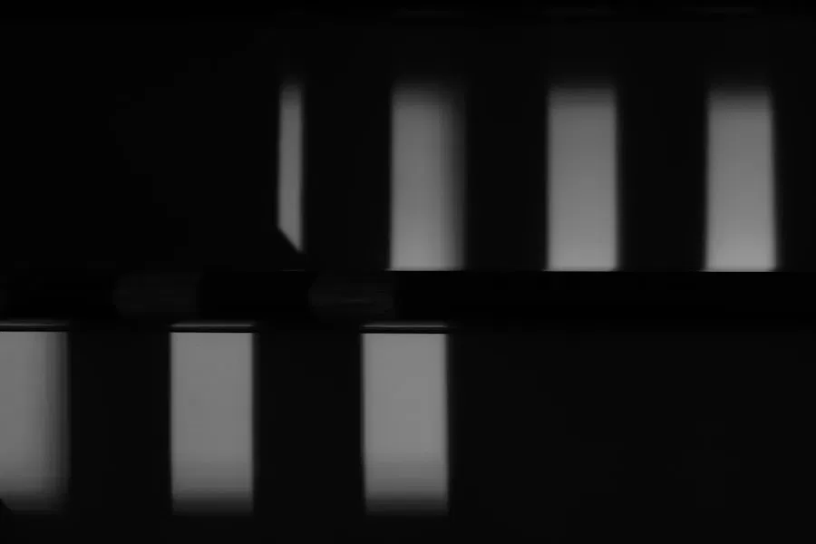 proteinvergleich wheyprotein pflanzenprotein