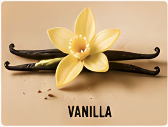 Zwei Vanilleschoten liegen gekreuzt auf einer beigen Fläche, darauf liegt eine gelbe Vanilleblüte. Unterhalb des Bildes steht in fetten schwarzen Buchstaben das Wort „VANILLA“.